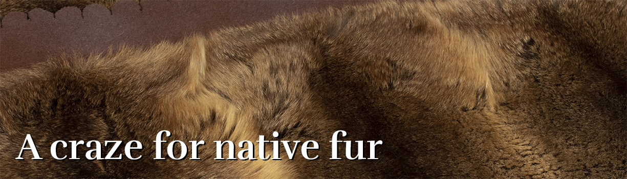 A craze for native fur